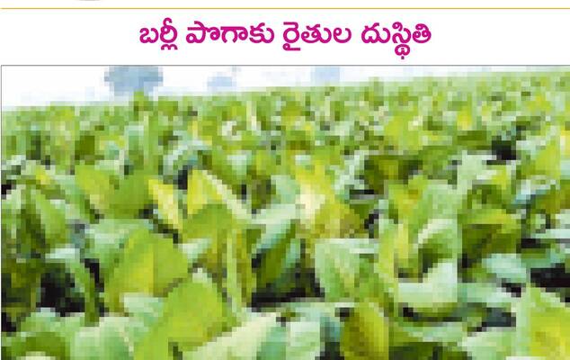 బుధవారం శ్రీ 30 శ్రీ ఏప్రిల్‌ శ్రీ 20251