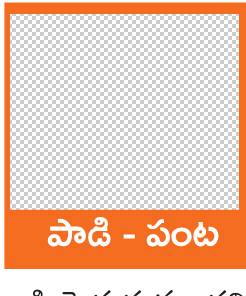 గంధకంతో ఉద్యాన పంటల్లో అధిక దిగుబడులు 2