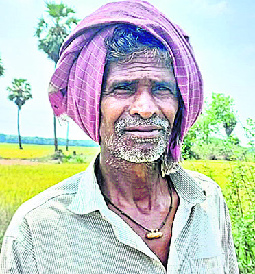 గడ్డికి గడ్డుకాలం..!3