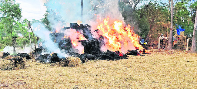 చొరబాటుదారులను గుర్తిస్తాం 
1