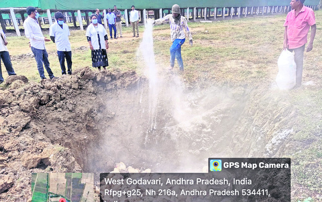 సర్కారు నిర్లక్ష్యం.. పౌల్ట్రీకి శాపం 2