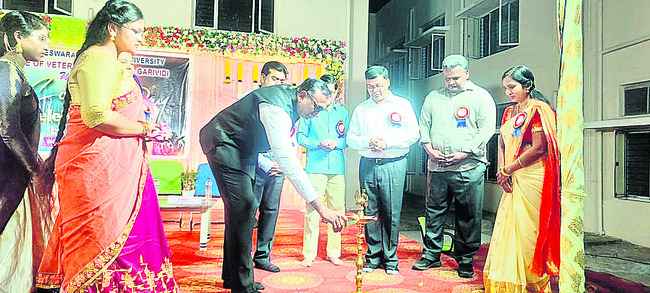 మత్య్సశాఖ ఇన్‌చార్జి డీడీగా విజయకృష్ణ 1