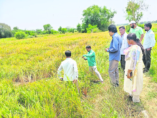 ‘ఎల్‌ఆర్‌ఎస్‌ ప్రక్రియను వేగంగా పూర్తి చేయాలి’ 
2