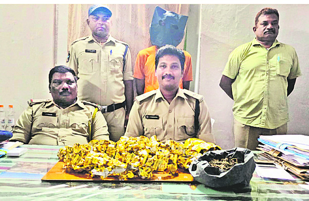 పల్నాడు జిల్లాలో విస్తరిస్తున్న గంజాయి వినియోగం 
1