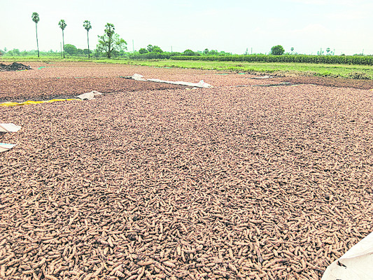 అపార నష్టం 1