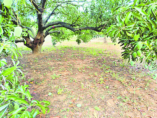 అపార నష్టం 2