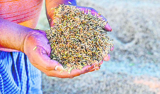 అపార నష్టం 3