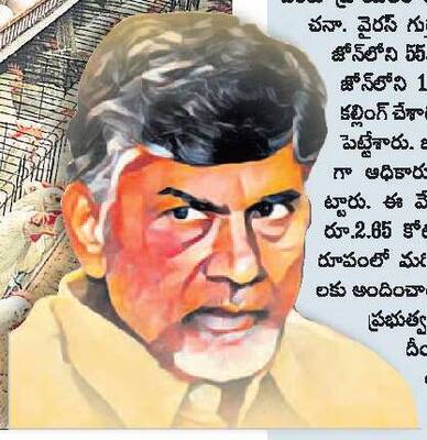 సర్కారు నిర్లక్ష్యం.. పౌల్ట్రీకి శాపం 1