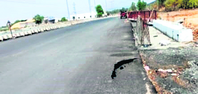 వైభవంగా వసంతోత్సవం 1