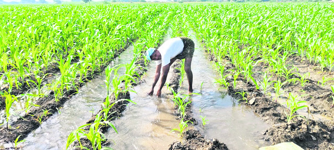 అన్నదాతకు ఊరట 1