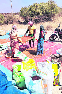 అడుగడుగునా అన్నదాతలు దోపిడీకి గురవుతున్నారు. విత్తనాల క2