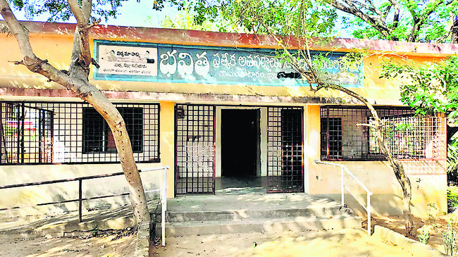 భవిత.. భరోసా3