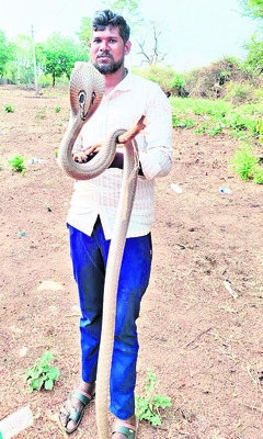 న్యాయశాఖ ఉద్యోగుల కార్యవర్గ ఎన్నిక 1