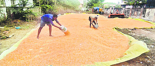 అకాల వర్షం.. ఆశలు ఆవిరి1