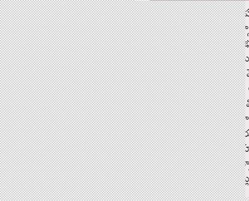 గూడూరులో క్రిస్‌ సిటీ కోసం భూ సేకరణ 
4