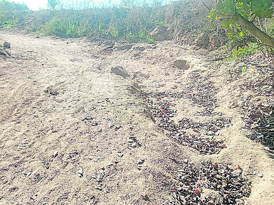 రోడ్లు ధ్వంసం..వాగులు చెర1