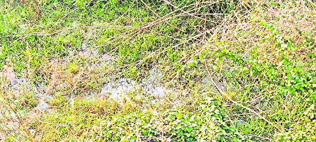 ఇష్టారాజ్యంగా వ్యర్థాలను  వదిలేస్తున్న పాల డెయిరీ2