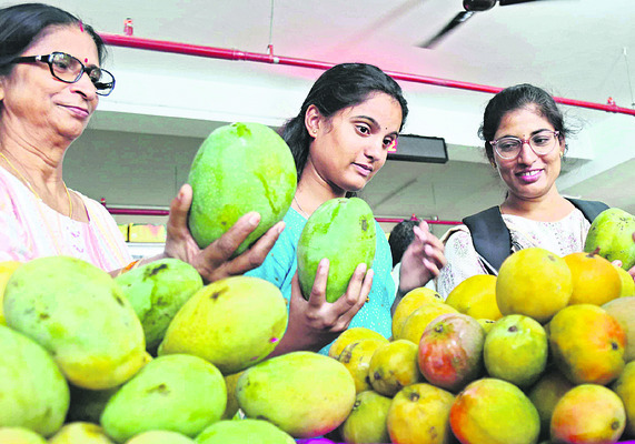 పండ్లకు రారాజు, మామిడి పండ్లు అనగానే నోట్లో నీళ్లూరడం స2