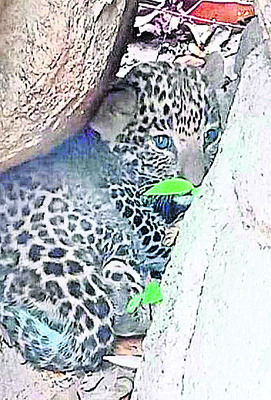 సోమవారం శ్రీ 7 శ్రీ ఏప్రిల్‌ శ్రీ 202510