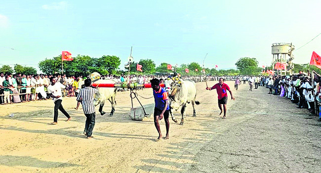 హోరాహోరీగా రాతిదూలం పోటీలు1