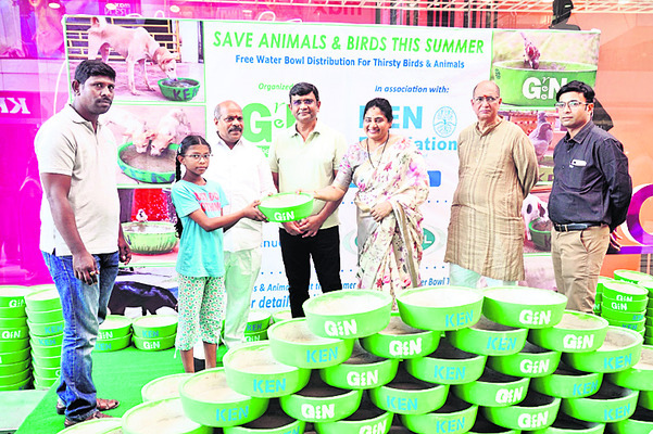 మూగజీవాలకు ఆసరా దక్కెన్‌1