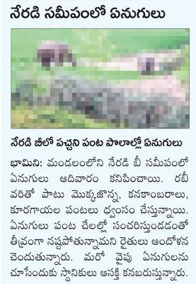 విజయనగరం5