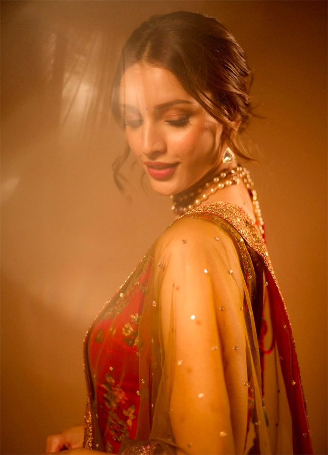 Animal Actress Tripti Dimri Stunning Looks Viral Pics13