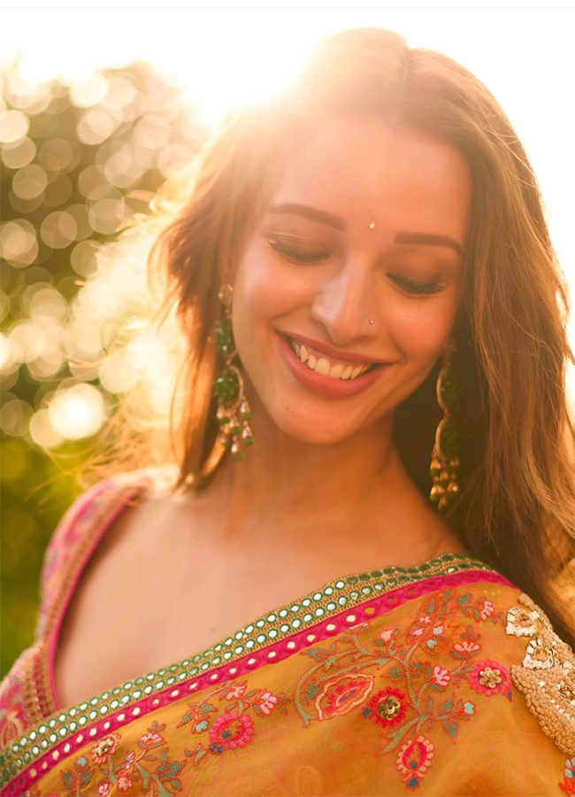 Animal Actress Tripti Dimri Stunning Looks Viral Pics15