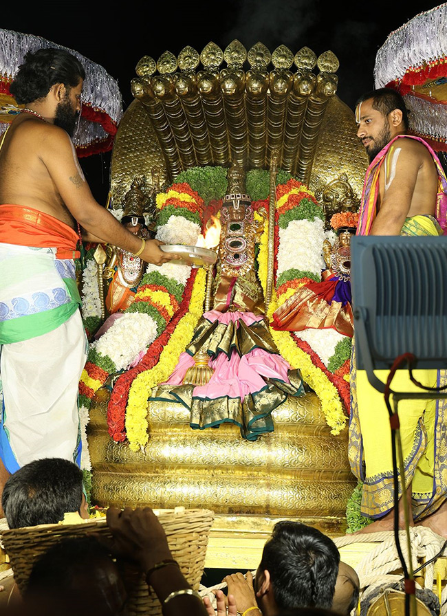Kodandarama Swamy Brahmotsavam in Vontimitta Photos14