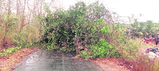 ఈదురు గాలులు.. వడగళ్లవాన1