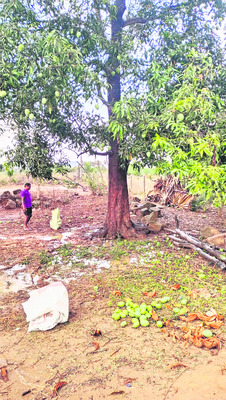 ఈదురు గాలులు.. వడగళ్లవాన3