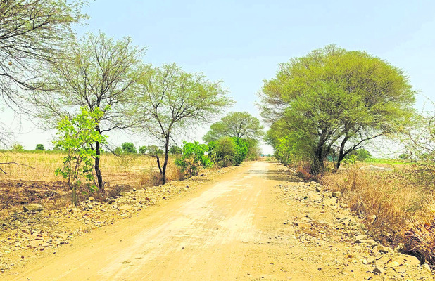 అక్రమాలకు అడ్డదారి!1