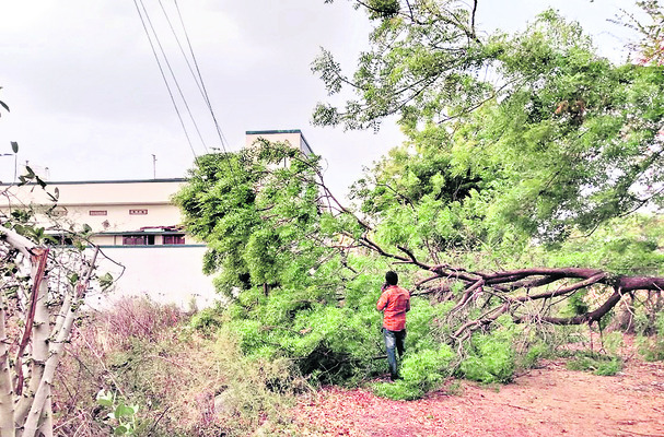 మధ్యాహ్నం ఎండ.. సాయంత్రం వాన1
