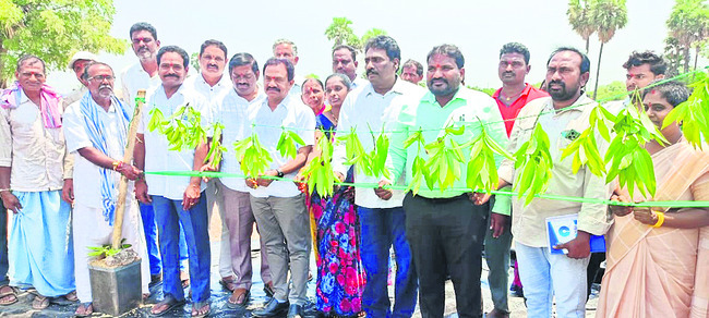 అరుణాచలానికి ప్రత్యేక బస్సులు1