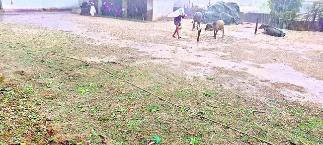 దంచికొట్టిన వడగండ్ల వాన1