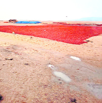 దంచికొట్టిన వడగండ్ల వాన2