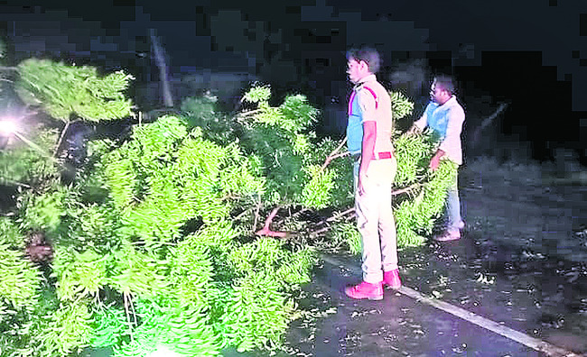 దంచికొట్టిన వడగండ్ల వాన4