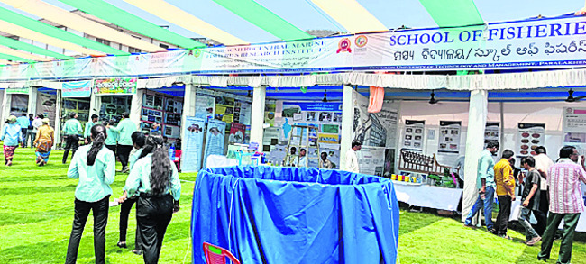 ఫుట్‌బాల్‌ పోటీలు ప్రారంభం 1