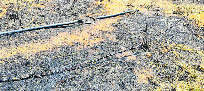 చివరికి బుగ్గిపాలు1