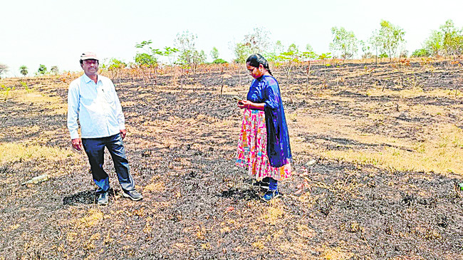 బ్లాక్‌ ప్లాంటేషన్‌ను పరిశీలించిన అధికారులు 1