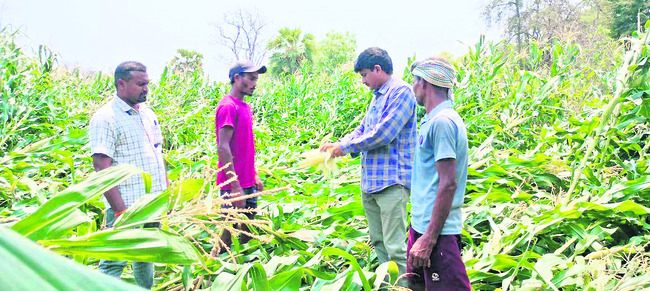 అకాల వర్షం.. ఆగమాగం..1