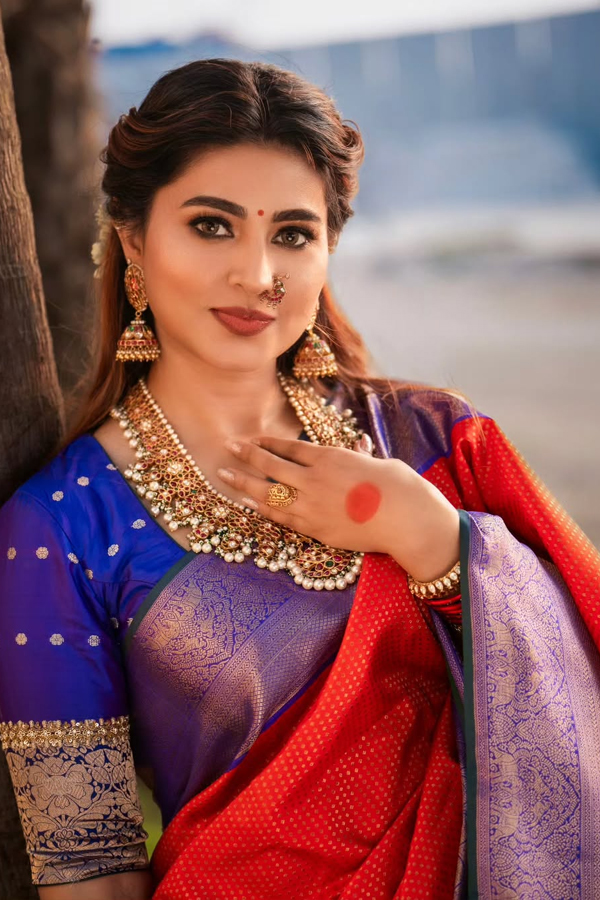 actress Sneha stunning looks in elegant saree7