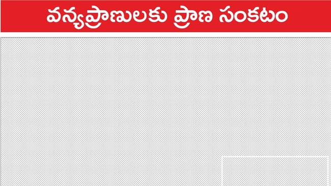 విజయవాడ సిటీ1