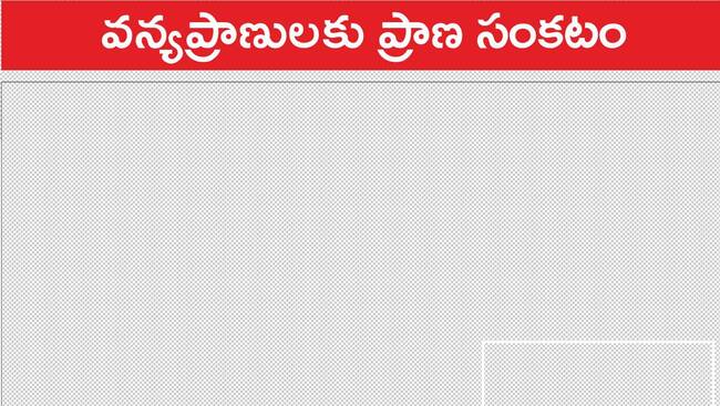 కృష్ణాజిల్లా1