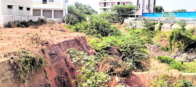 అధికారులు ఈ వంక చూడరు? 3