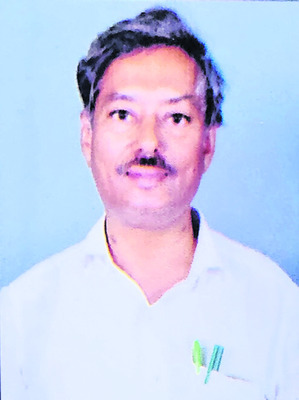 పచ్చిరొట్ట సాగుతో భూసారం మెండు1