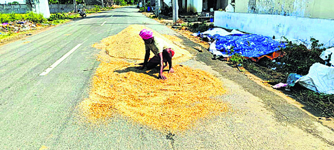 ● రోడ్డుపై కూలిన మర్రి చెట్టు 1