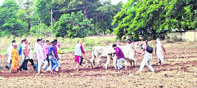 వ్యవసాయ రంగానికి పెద్దపీట 1