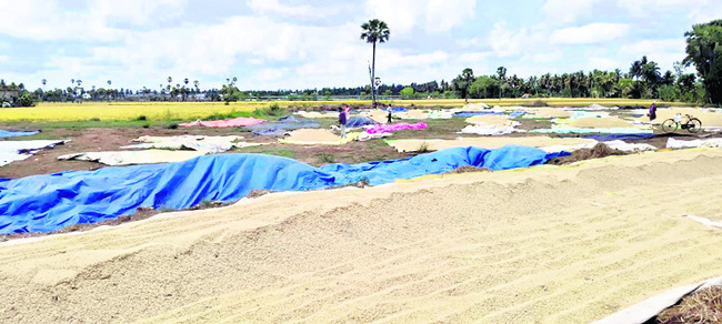 అకాల వర్షం.. రైతన్నకు నష్టం 2