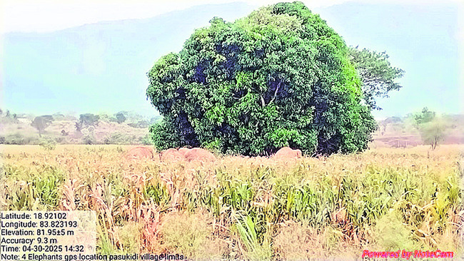 రైల్వేస్టేషన్లో నిందితుడి అరెస్ట్1